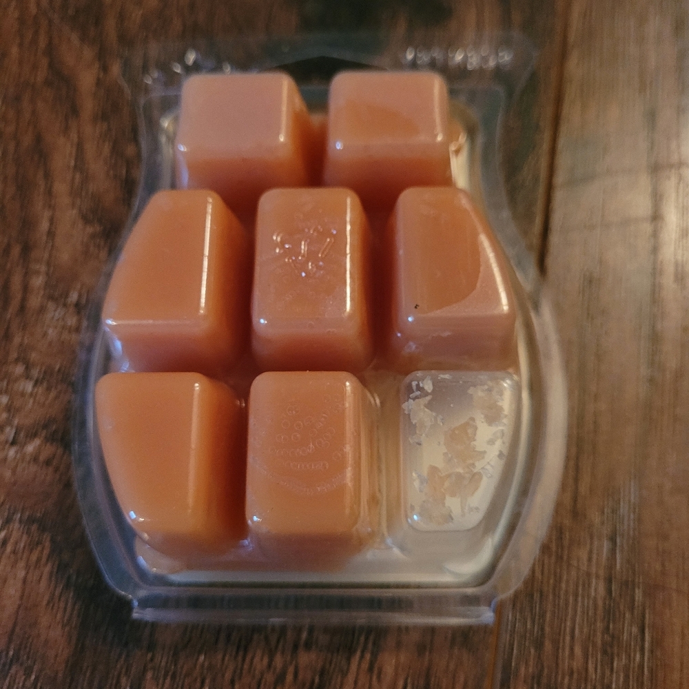 Scentsy bundle - Picture 7 of 14